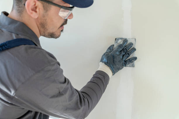 Best Drywall Sanding and Smoothing  in Mount Shasta, CA